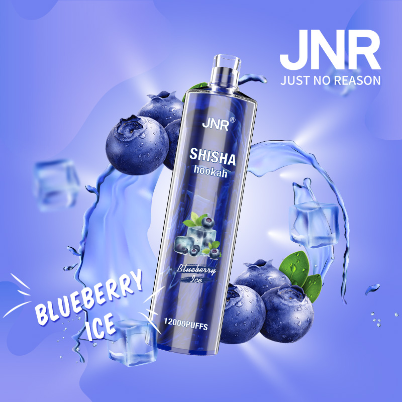 1.Blueberry-Ice