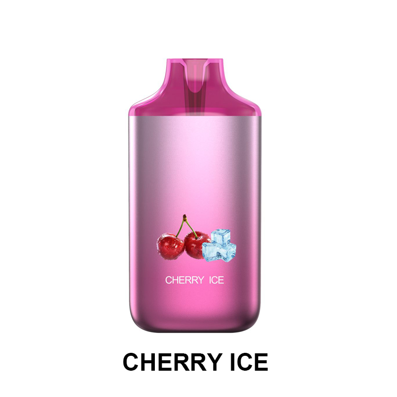 China New Hot Sale 5000 Puffs Disposable Vaporizer Rechargeable Disposable  vape Manufacturer and Supplier